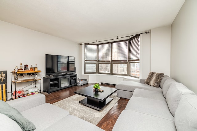 living room featuring dark hardwood / wood-style flooring