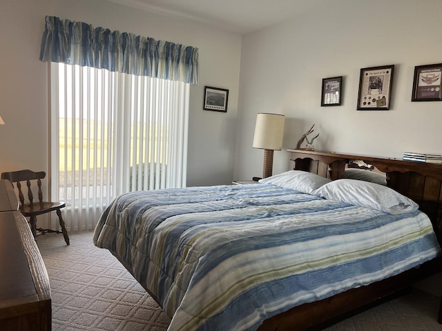 carpeted bedroom with multiple windows