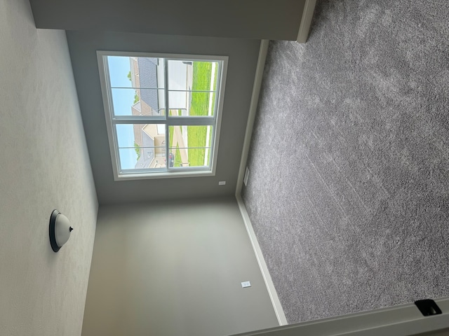 spare room with carpet floors