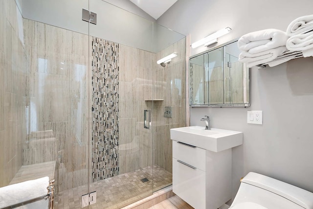 bathroom with vanity, an enclosed shower, and toilet