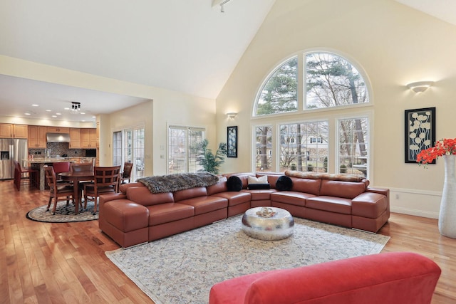 living room with high vaulted ceiling and light wood-type flooring