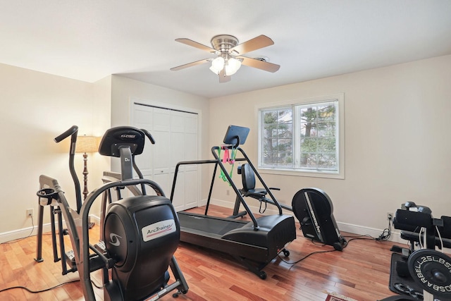 workout room featuring ceiling fan and light wood-type flooring