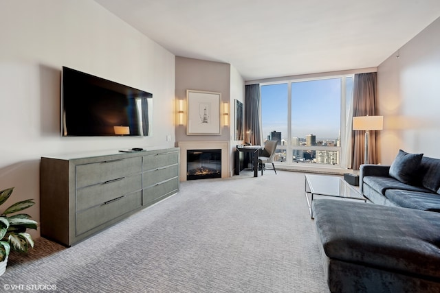 view of carpeted living room