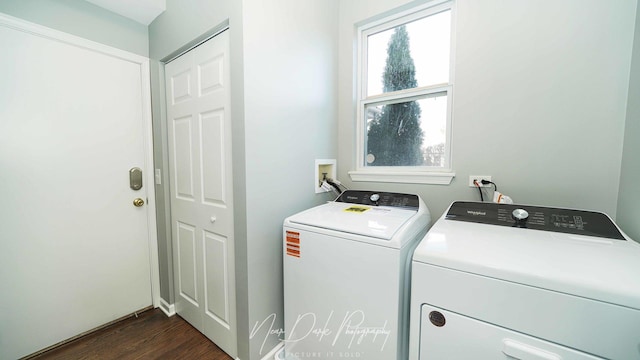 clothes washing area with separate washer and dryer and dark wood-type flooring