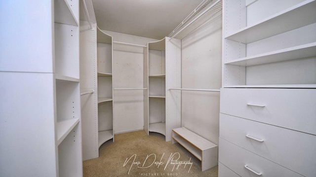 walk in closet featuring light carpet