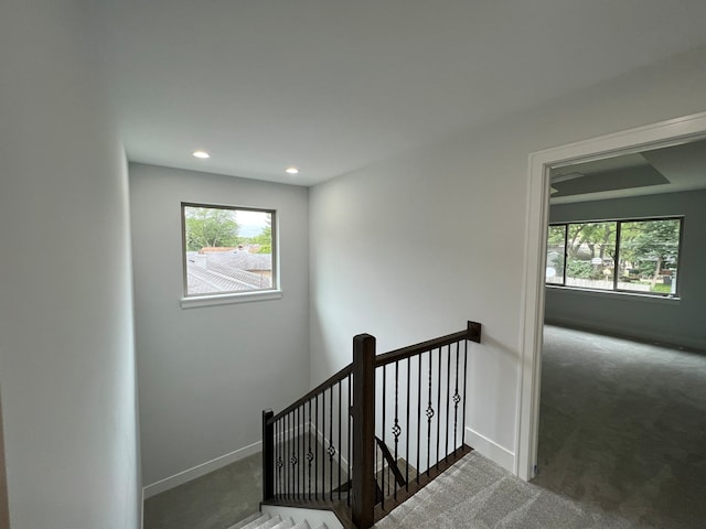 staircase with carpet flooring