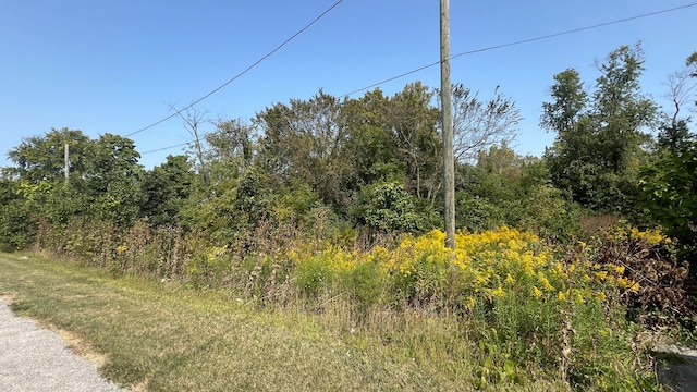 8050 W Lincoln Hwy, Frankfort IL, 60423 land for sale