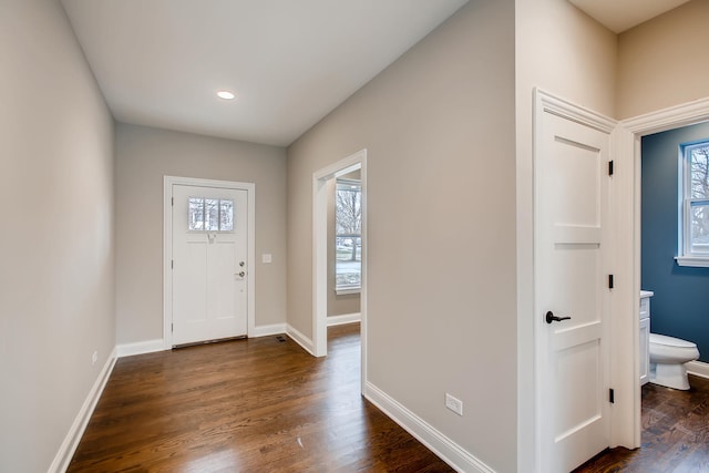 entrance foyer featuring plenty of natural light and dark wood-type flooring