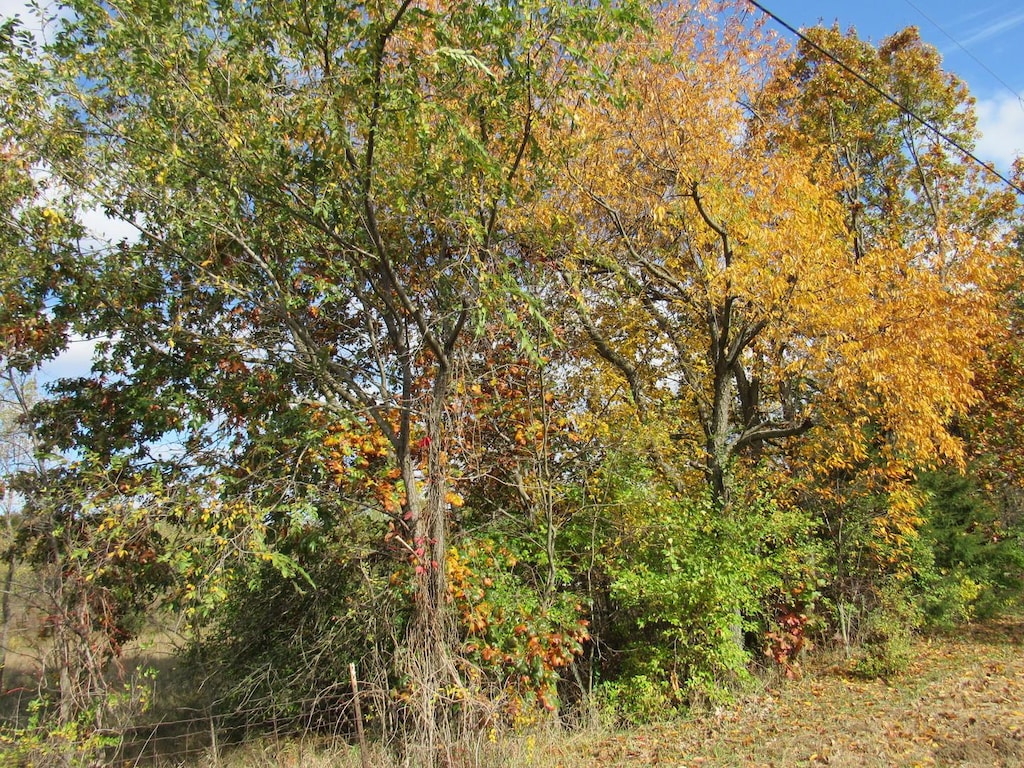 0000 Stevens Ln, Wilmington, IL 60481
