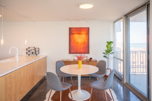 dining room with floor to ceiling windows, rail lighting, and dark hardwood / wood-style flooring