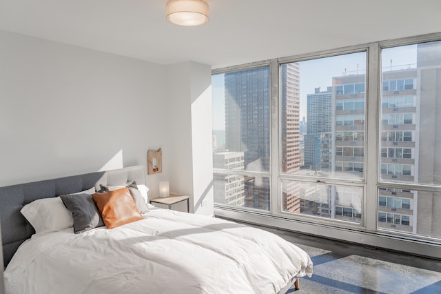 bedroom featuring floor to ceiling windows and a baseboard heating unit