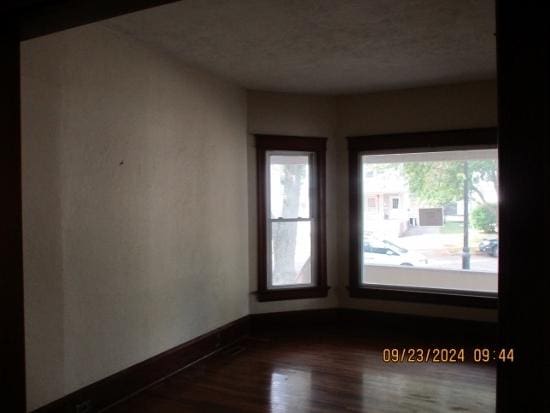 spare room featuring wood-type flooring