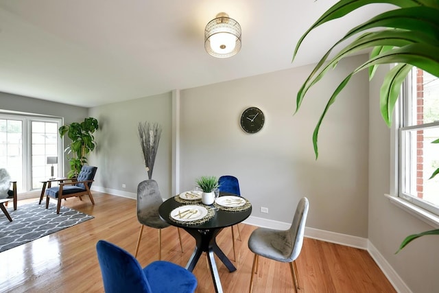 interior space with plenty of natural light and light hardwood / wood-style flooring