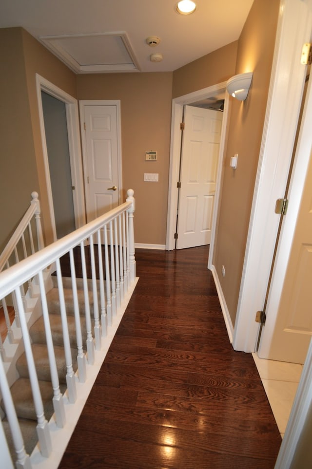 hall featuring dark wood-type flooring