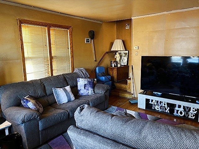 living room featuring dark wood-type flooring and ornamental molding