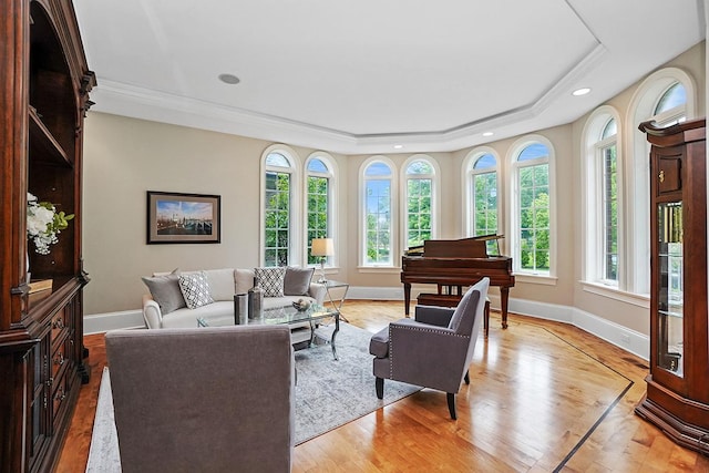 living room featuring a raised ceiling, light wood-type flooring, and ornamental molding