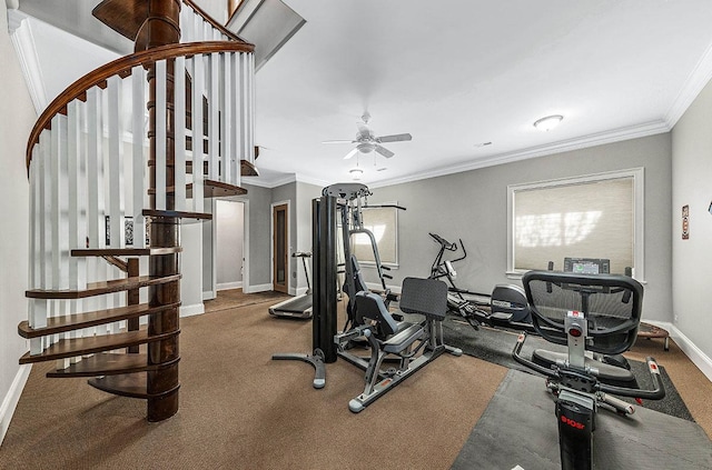 workout room with ceiling fan and ornamental molding