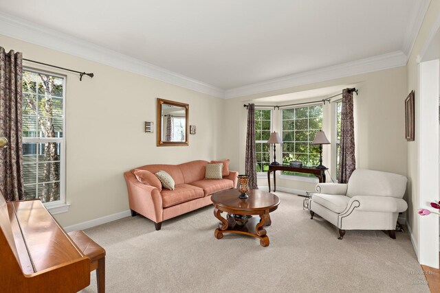 730 Fenview Cir, Algonquin, IL 60102 - living area with ornamental molding, baseboards, carpet, and healthy amount of natural light