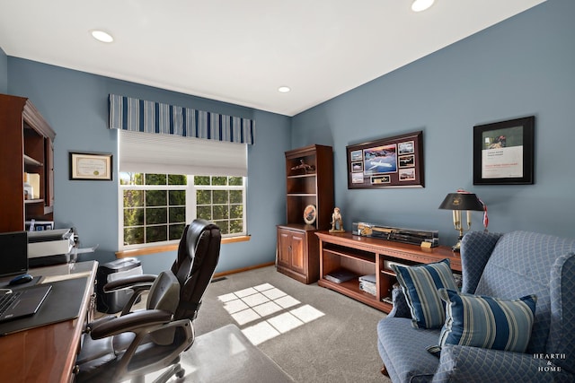 730 Fenview Cir, Algonquin, IL 60102 - carpeted office space with recessed lighting