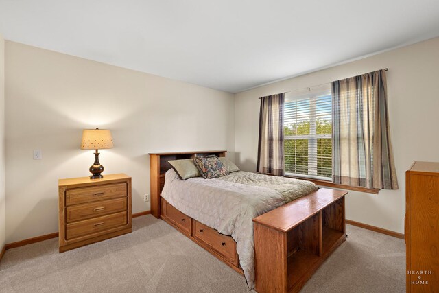 730 Fenview Cir, Algonquin, IL 60102 - bedroom featuring baseboards and light carpet