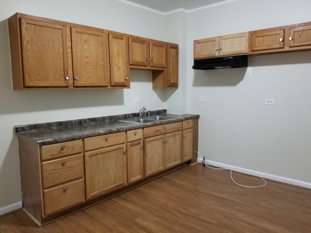 kitchen featuring dark hardwood / wood-style floors and sink