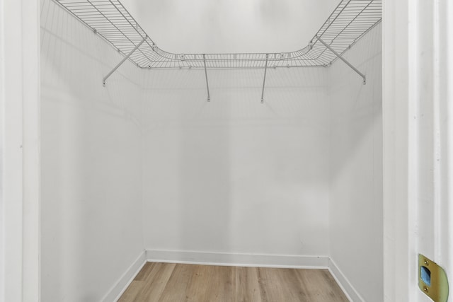 walk in closet featuring light hardwood / wood-style floors