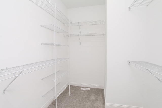 walk in closet featuring light colored carpet