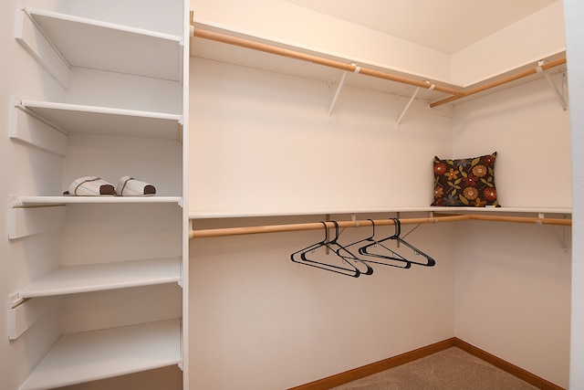 walk in closet with carpet flooring