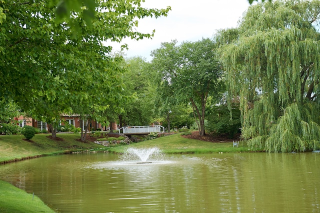 view of property view of water