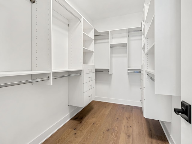 walk in closet featuring wood-type flooring