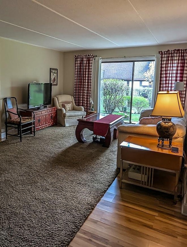 living room with wood finished floors
