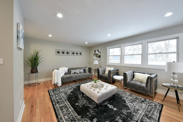 living room with light wood-type flooring