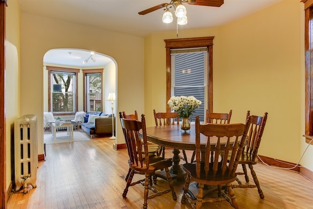 dining room with radiator heating unit, light hardwood / wood-style floors, and ceiling fan