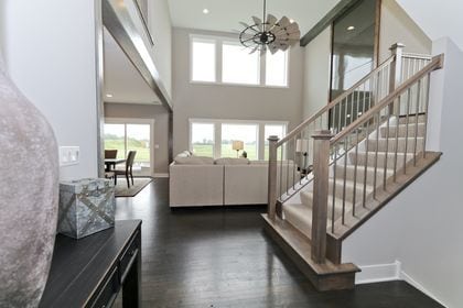 entryway featuring a towering ceiling and dark hardwood / wood-style floors