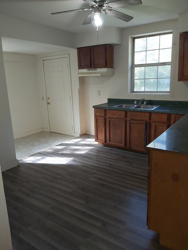 kitchen with ceiling fan, sink, and dark hardwood / wood-style flooring