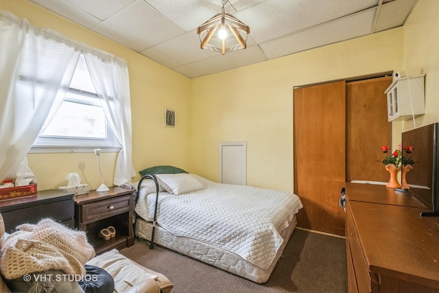 bedroom featuring a drop ceiling, carpet floors, and a closet