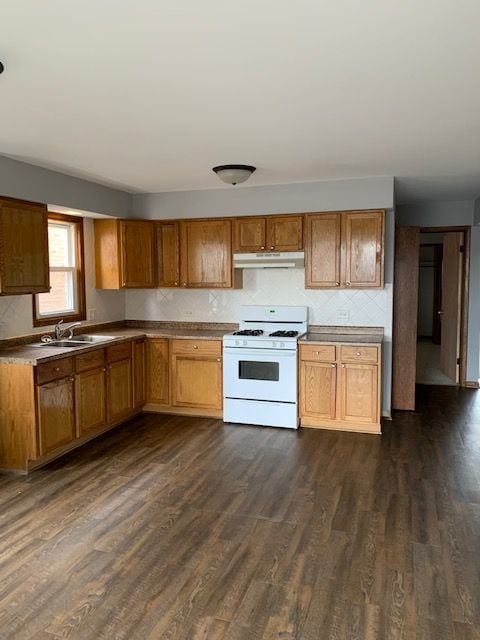 kitchen with sink, tasteful backsplash, dark hardwood / wood-style floors, and white gas stove