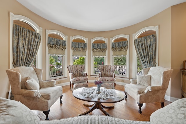 living room featuring light hardwood / wood-style flooring and a healthy amount of sunlight