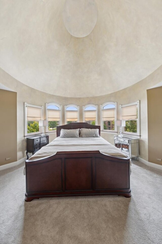 14040 Boxwood Ln, Orland Park, IL 60462 - bedroom with light carpet, baseboards, and high vaulted ceiling