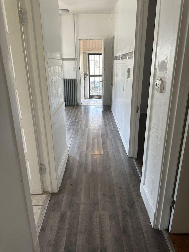 hallway featuring dark wood-style floors and radiator