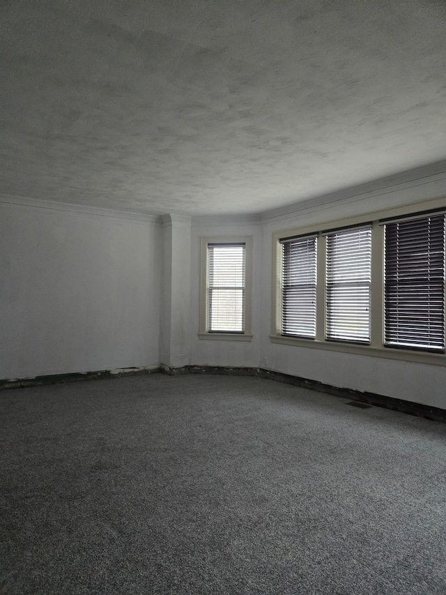 carpeted spare room featuring a textured ceiling