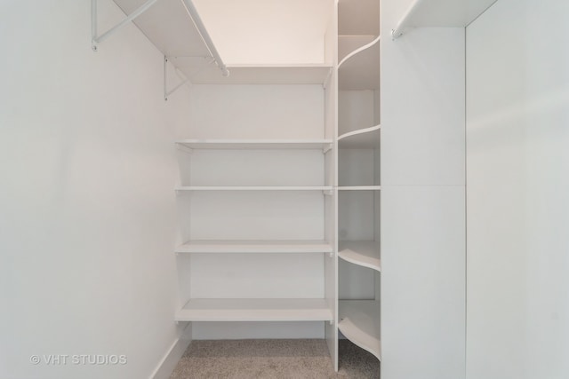 spacious closet with carpet floors