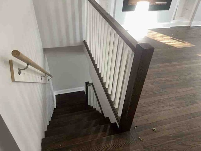 stairway with dark hardwood / wood-style floors