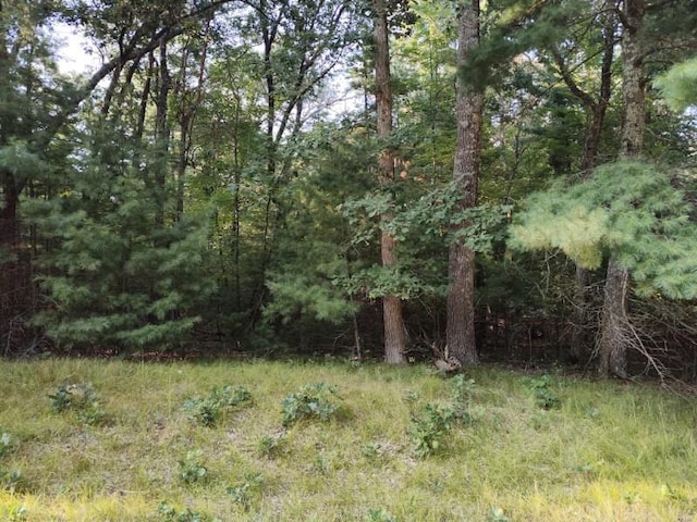 LOT32 Badger Ct S, Arkdale WI, 54613 land for sale