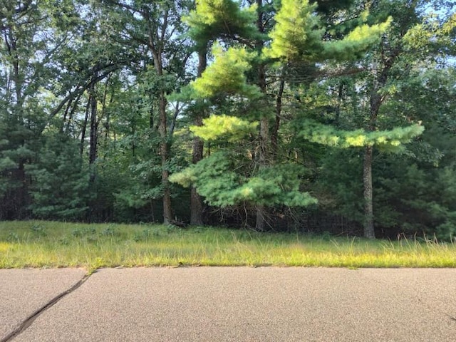 Listing photo 2 for LOT32 Badger Ct S, Arkdale WI 54613