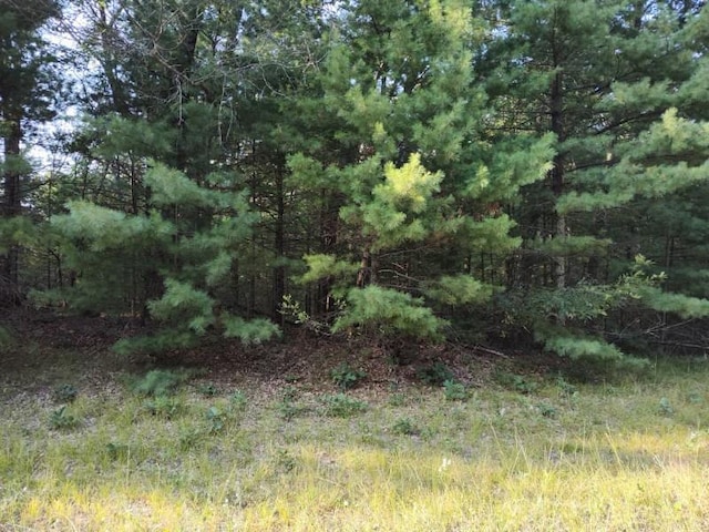 Listing photo 3 for LOT32 Badger Ct S, Arkdale WI 54613