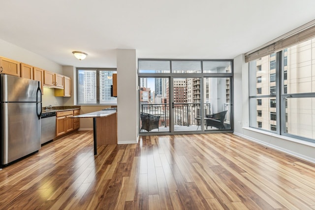 kitchen featuring light hardwood / wood-style flooring and stainless steel appliances