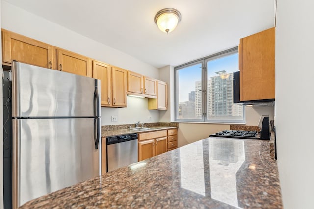 kitchen featuring dark stone counters, sink, and stainless steel appliances