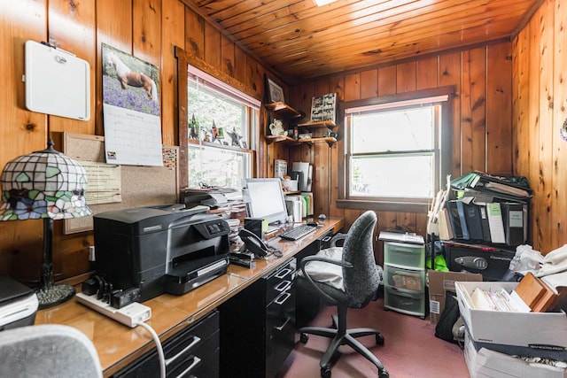 office space featuring wood ceiling, plenty of natural light, and wooden walls