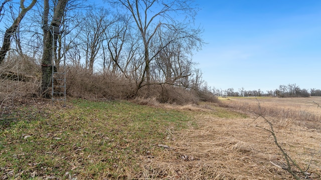 view of local wilderness with a rural view